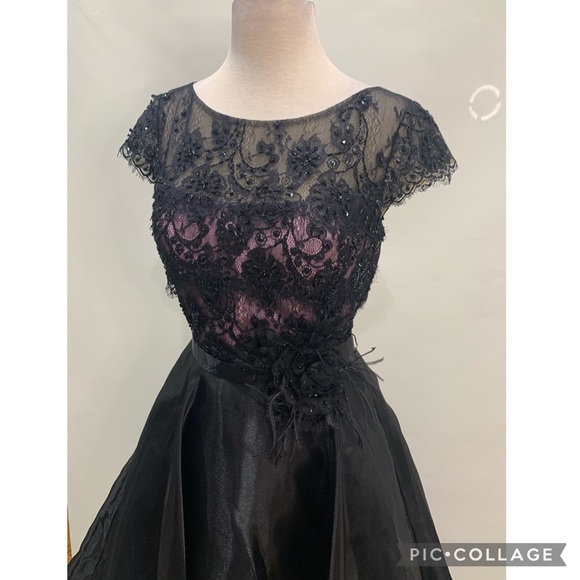 Mon Cheri fit flare midi cap sleeves pink black lace dress - Picture 3 of 9